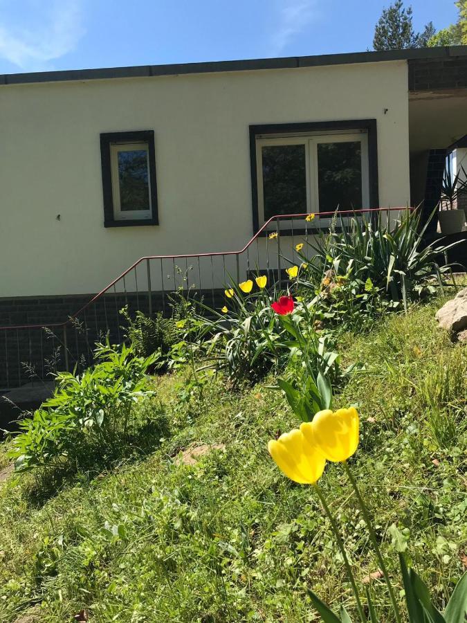 Ferienhaus Am Wald Wendehausen Kültér fotó